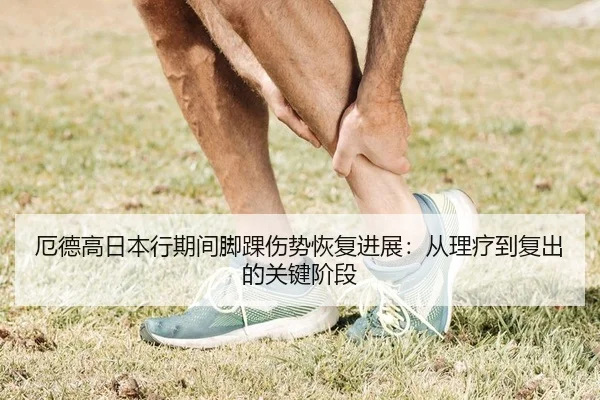 厄德高日本行期间脚踝伤势恢复进展：从理疗到复出的关键阶段