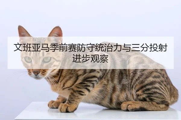文班亚马季前赛防守统治力与三分投射进步观察