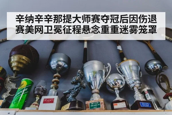 辛纳辛辛那提大师赛夺冠后因伤退赛美网卫冕征程悬念重重迷雾笼罩